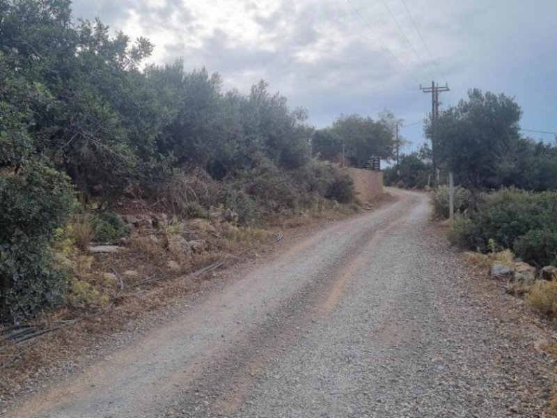 Agios Nikolaos Kreta, Agios Nikolaos: Grundstück mit Meerblick zu verkaufen Grundstück kaufen
